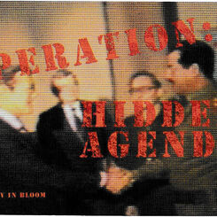 Operation Hidden Agenda