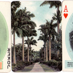 Panama Souvenir 1908