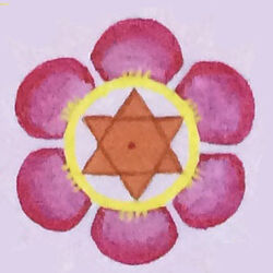 Nature & Environment