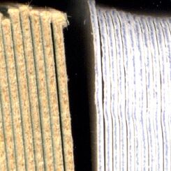 Paper and Cardboard