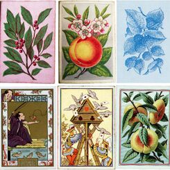 Playing Card Design