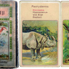 J. W. Spear and Sons: ‘Zoology’