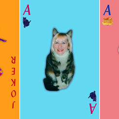 Cats, Cakes, Clothes and Cups