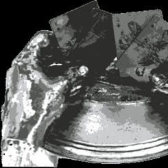 About Catherine Kelly