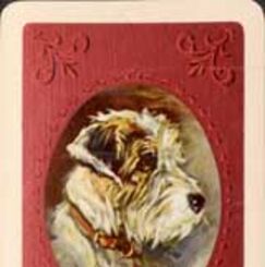 Waddington’s Dog Series