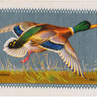 Waddington’s Sporting Birds Series 1933