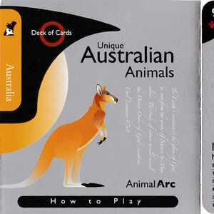 Unique Australian Animals