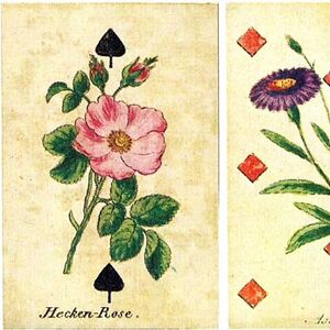 Löschenkohl’s Botanical Playing Cards