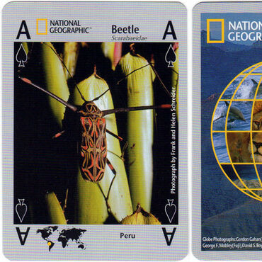 National Geographic Nature
