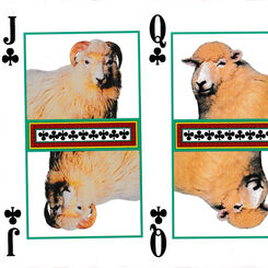 Axminster 100 playing cards