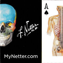 Netter playing cards