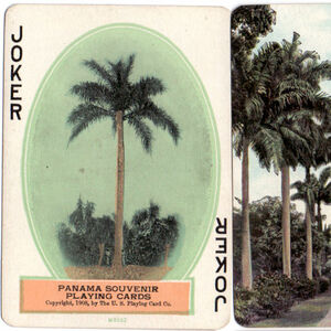 Panama Souvenir 1908