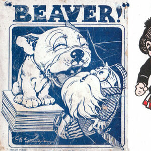 Beaver!