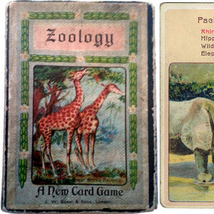 J. W. Spear and Sons: ‘Zoology’
