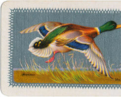 Waddington’s Sporting Birds Series 1933