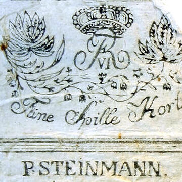 P. Steinmann