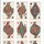 More Standard European Cards