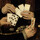 Why our playing-cards look the way they do
