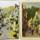 Playing Card Research Archives maintained by The Worshipful Company of Makers of Playing Cards