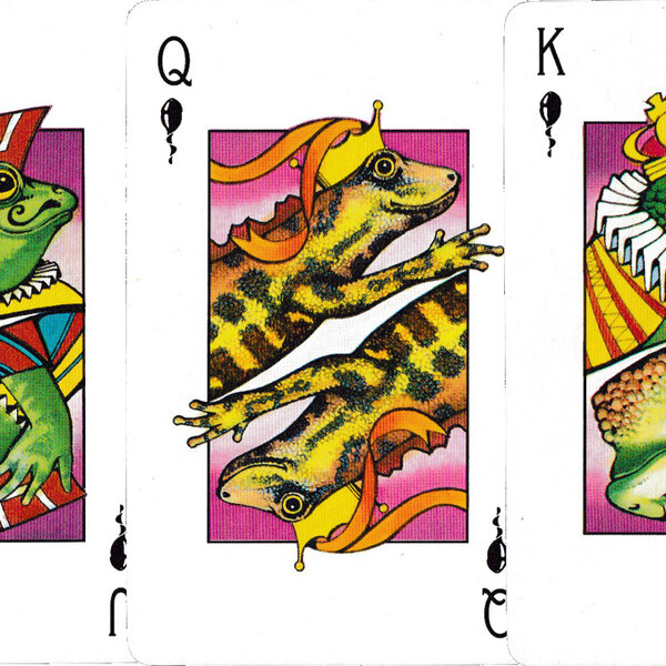 Kids Fun Box playing cards