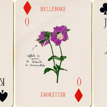 Les Fleurs (Hachette Livre)