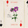 Les Fleurs (Hachette Livre)