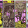 Martin Sharp’s Psychedelic Tarot