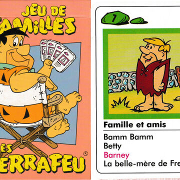 Jeu de Familles Les Pierrafeu®