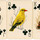 Maxi Puke 201 Circus Poker