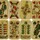 Prussian Pattern