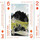 Hillbaggers Top 52 playing cards
