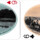 Maine Souvenir playing cards