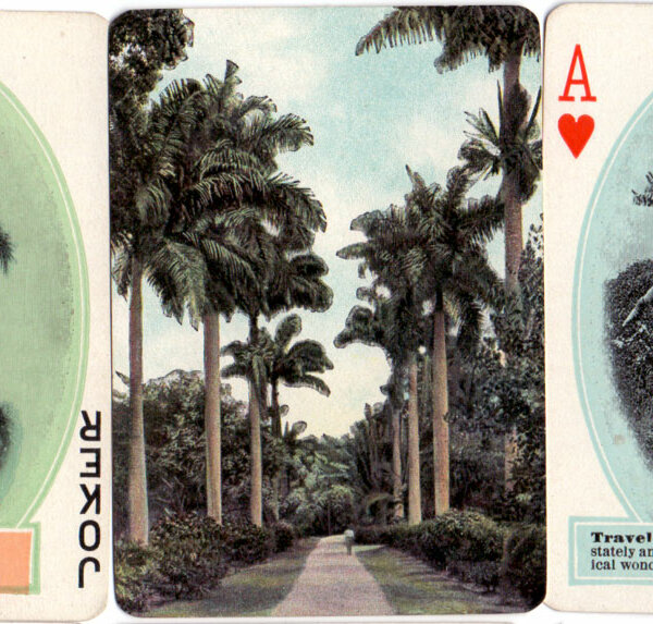 Panama Souvenir 1908