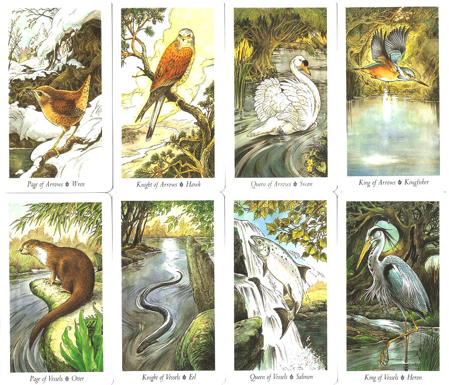Arrows and Vessels court cards from The Wildwood Tarot, represented by birds and water creatures