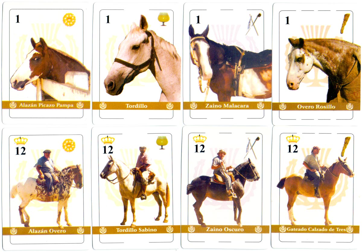 “Caballos Argentinos” playing cards with photographs of horses and ponies on each card, anonymous publisher, 2005