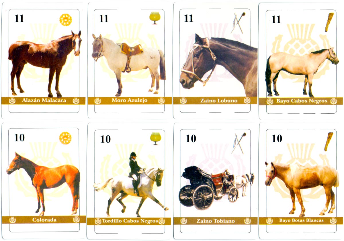 “Caballos Argentinos” playing cards with photographs of horses and ponies on each card, anonymous publisher, 2005