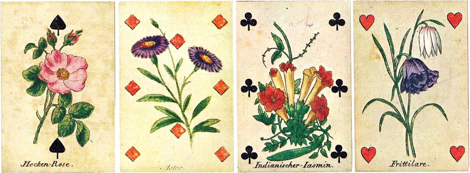 Johann Löschenkohl's Botanical Playing Cards, originally published in Vienna in 1806