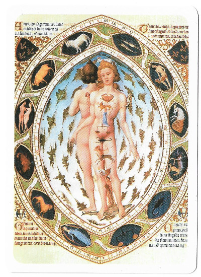 Zodiac No.1182 playing cards manufactured by Piatnik for Bird Playing Cards (UK), 2003