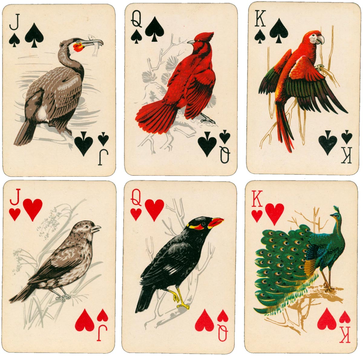 “Maxi Puke 201” Circus Poker brand produced by Wenyu Paper Products, Shanghai “Maxi Puke 201” Circus Poker brand produced by Wenyu Paper Products, Shanghai
