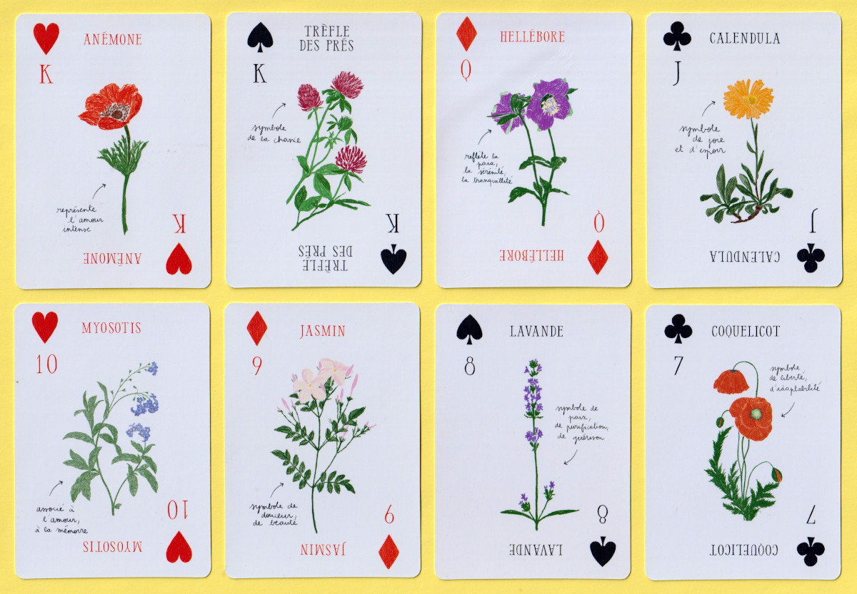 Les Fleurs illustrated by Zoé de Las Cases, published by Hachette Livre, Vanves, France, 2026
