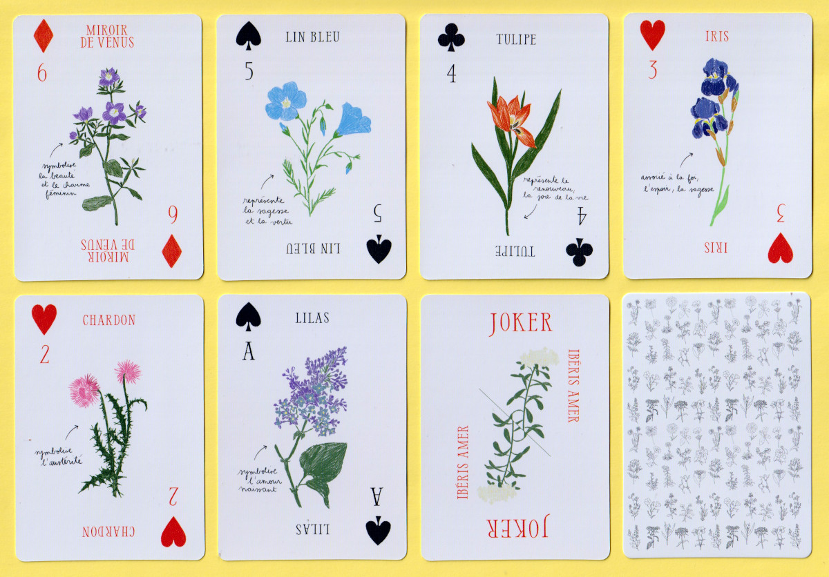 Les Fleurs illustrated by Zoé de Las Cases, published by Hachette Livre, Vanves, France, 2026