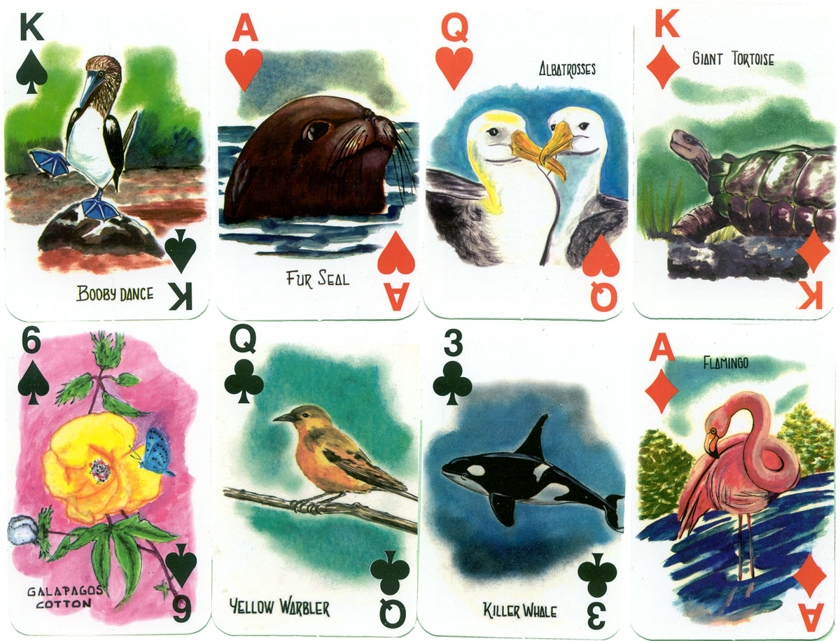 Galapagos Islands Souvenir Playing Cards