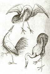 three of herons by the Master of the Playing-Cards