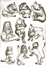 nine of lions by the Master of the Playing-Cards