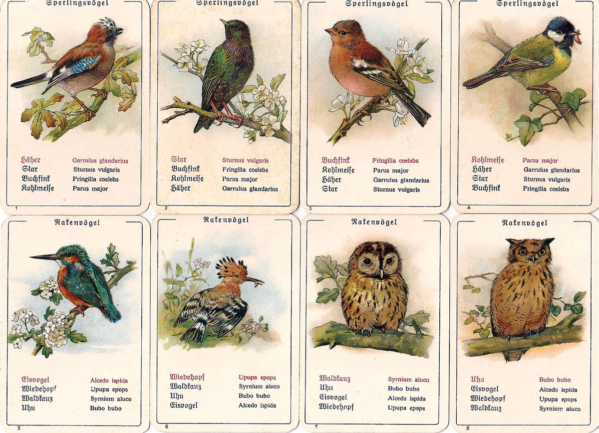 Dondorf’s “Die Vogel-Welt” No. 351 card game, c.1905