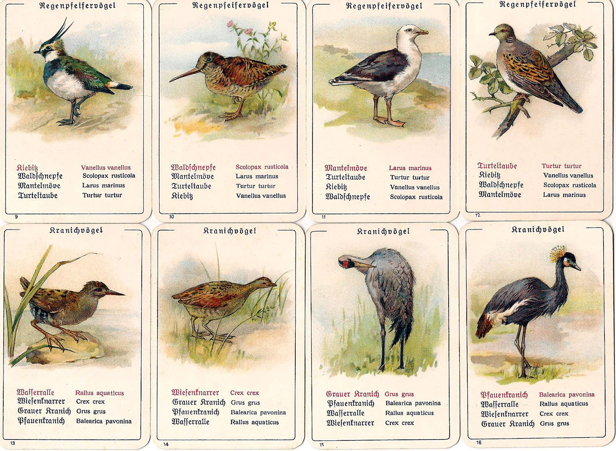 Dondorf’s “Die Vogel-Welt” No. 351 card game, c.1905