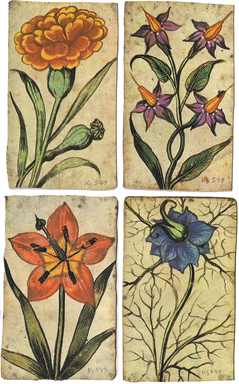 LILY FLOWER Flowers Playing Cards 1 Single Card Old Antique English Wide 