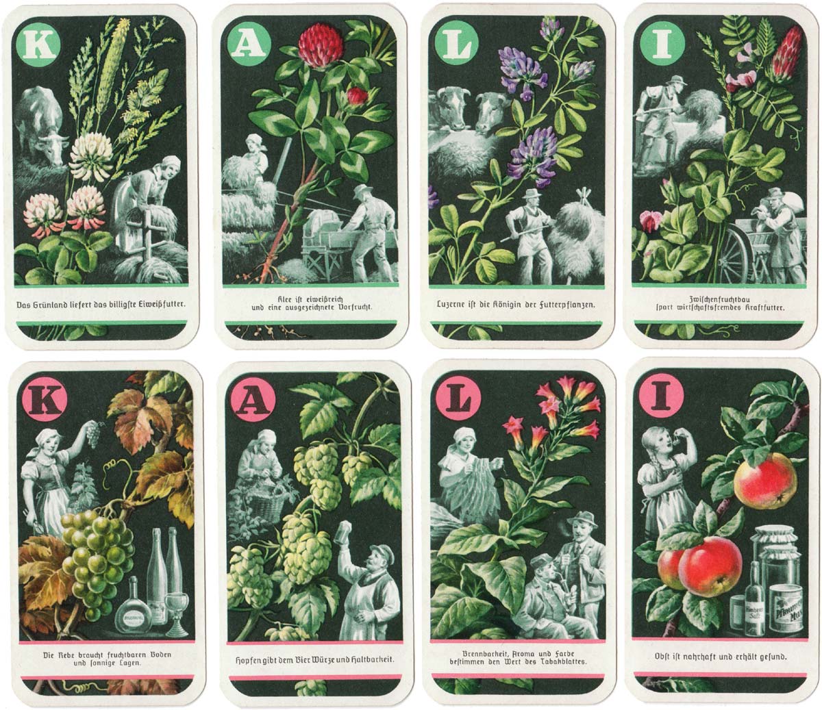 Deutsche Nutzpflanzen - Quartett game promoting Kali brand crop fertilizer, 1938