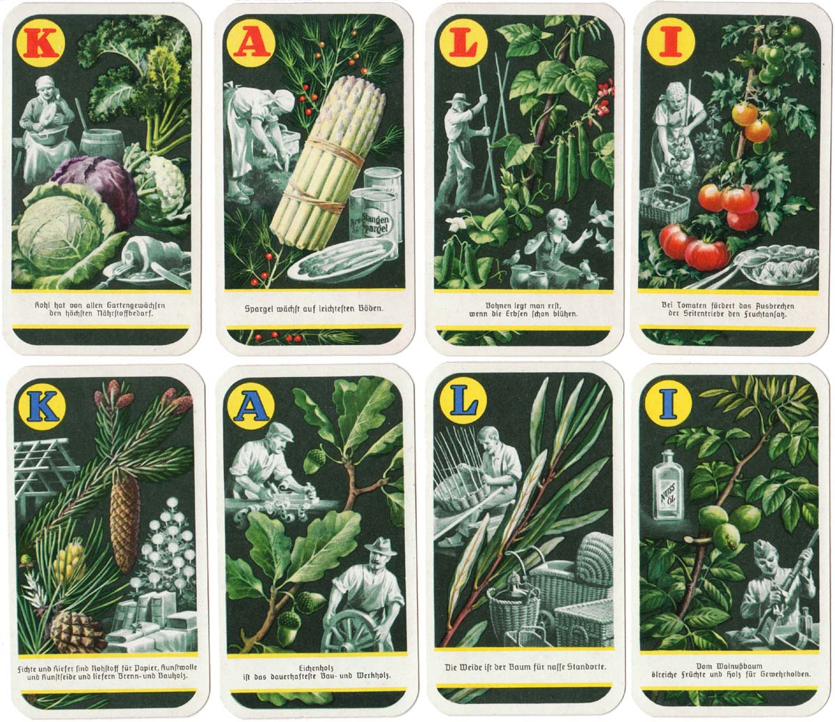 Deutsche Nutzpflanzen - Quartett game promoting Kali brand crop fertilizer, 1938