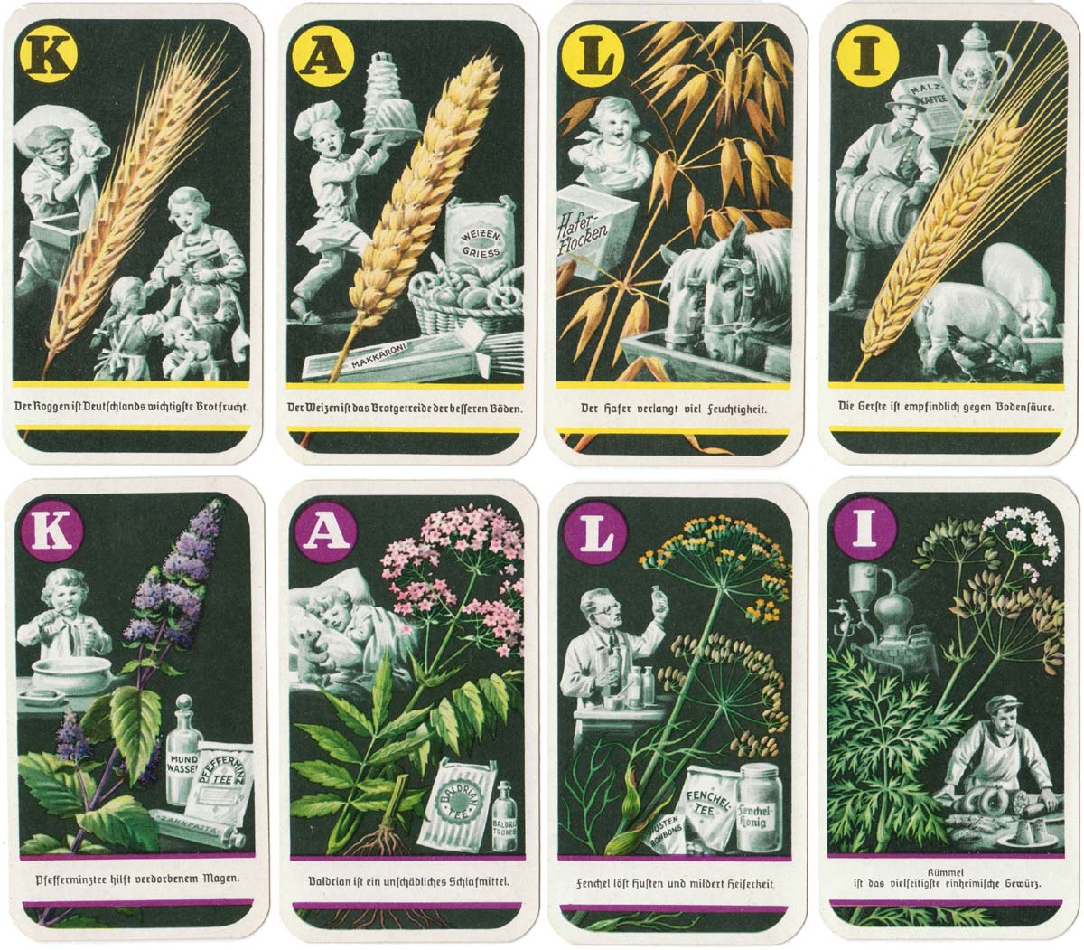 Deutsche Nutzpflanzen - Quartett game promoting Kali brand crop fertilizer, 1938